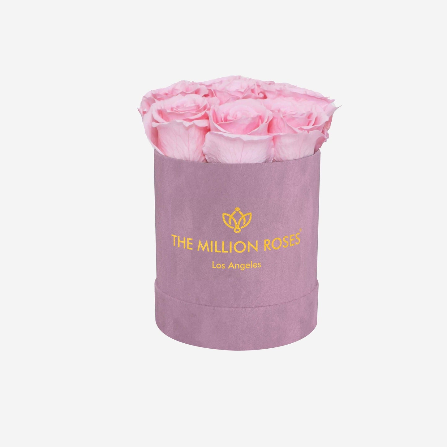 Caja de gamuza rosa claro básica | Rosas rosa claro