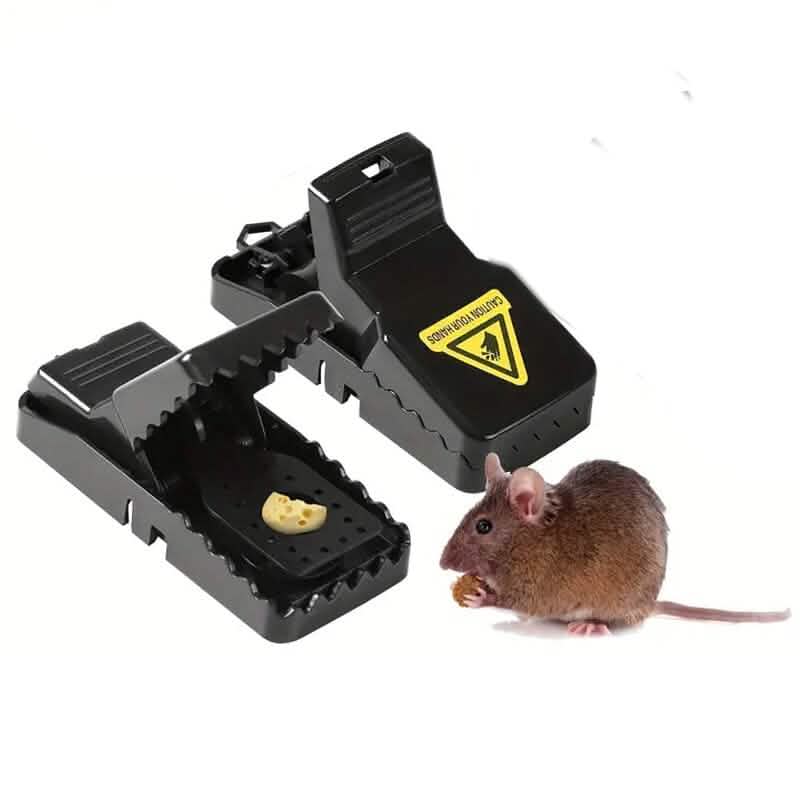 2-Pack: Safe Indoor Mouse Trap