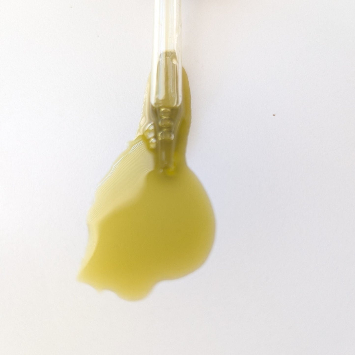 Moringa Leaf + Seed Whole-Plant Nutrition Oil – Face & Body Oil for Damage Sensitive, Skin Repair 2oz