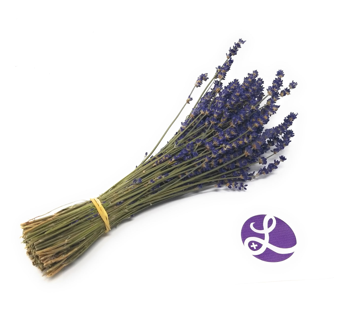Manos de lavanda culinaria - 35-45 cm de largo