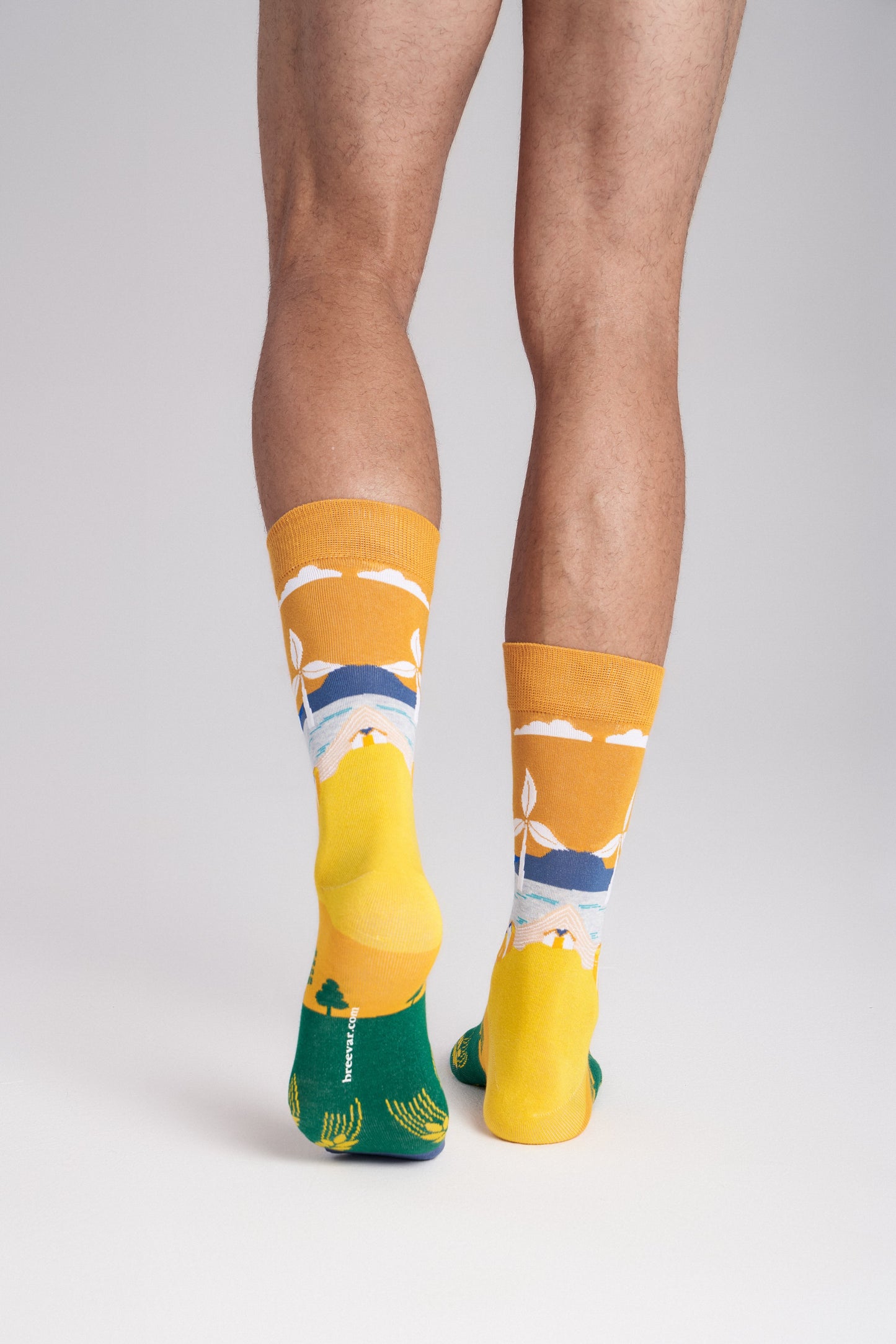Collectible Art Crew Socks – Clean Energy & Climate Action