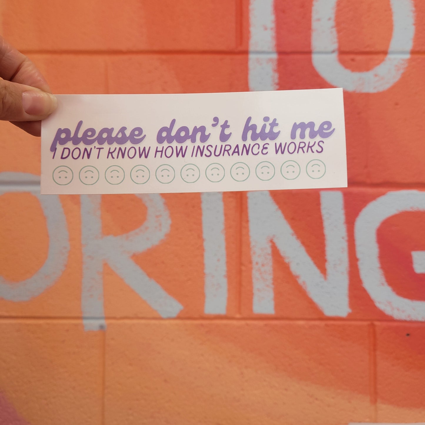 "Please Don't Hit Me..." Mini Bumper Sticker