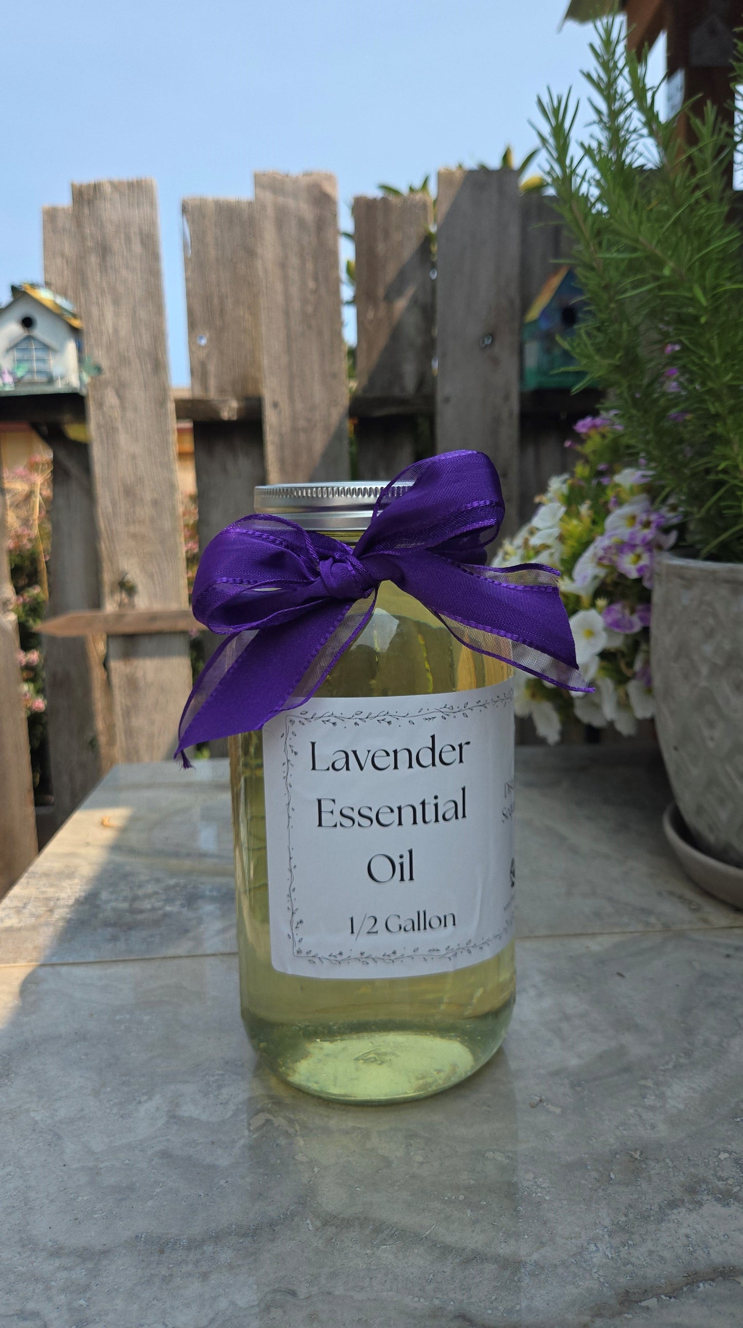Aceite Esencial de Lavanda – 1/2 galón, de origen local en WA