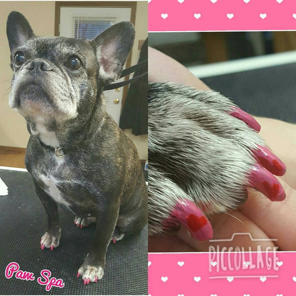 Nail Polish Pens