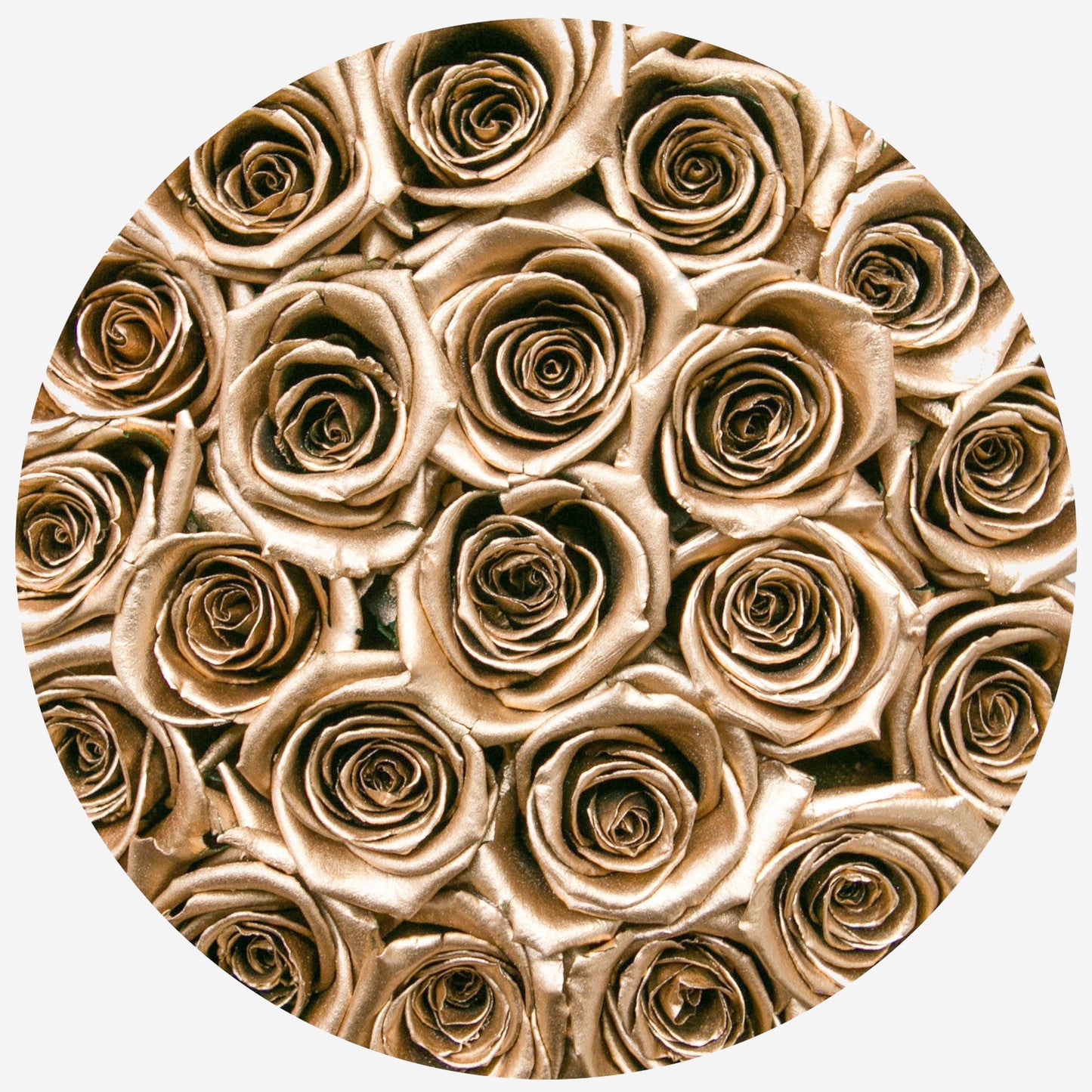 Caja Negra Clásica | Rosas de Oro de 24K