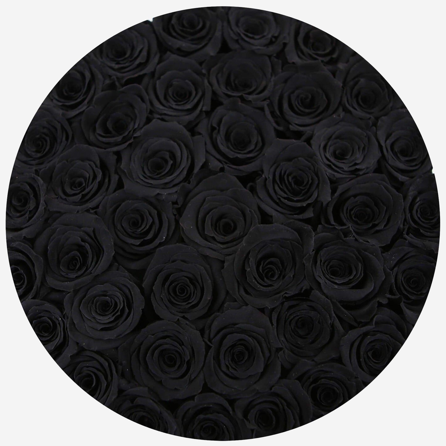 Caja Negra Suprema | Rosas Negras