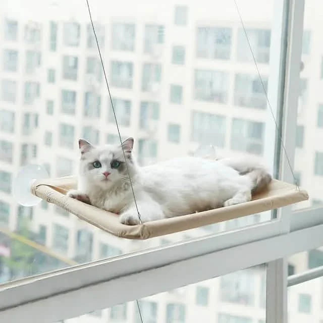 360° Cat Window Hammock: A Space-Saving Sunny Seat for Indoor Cats!