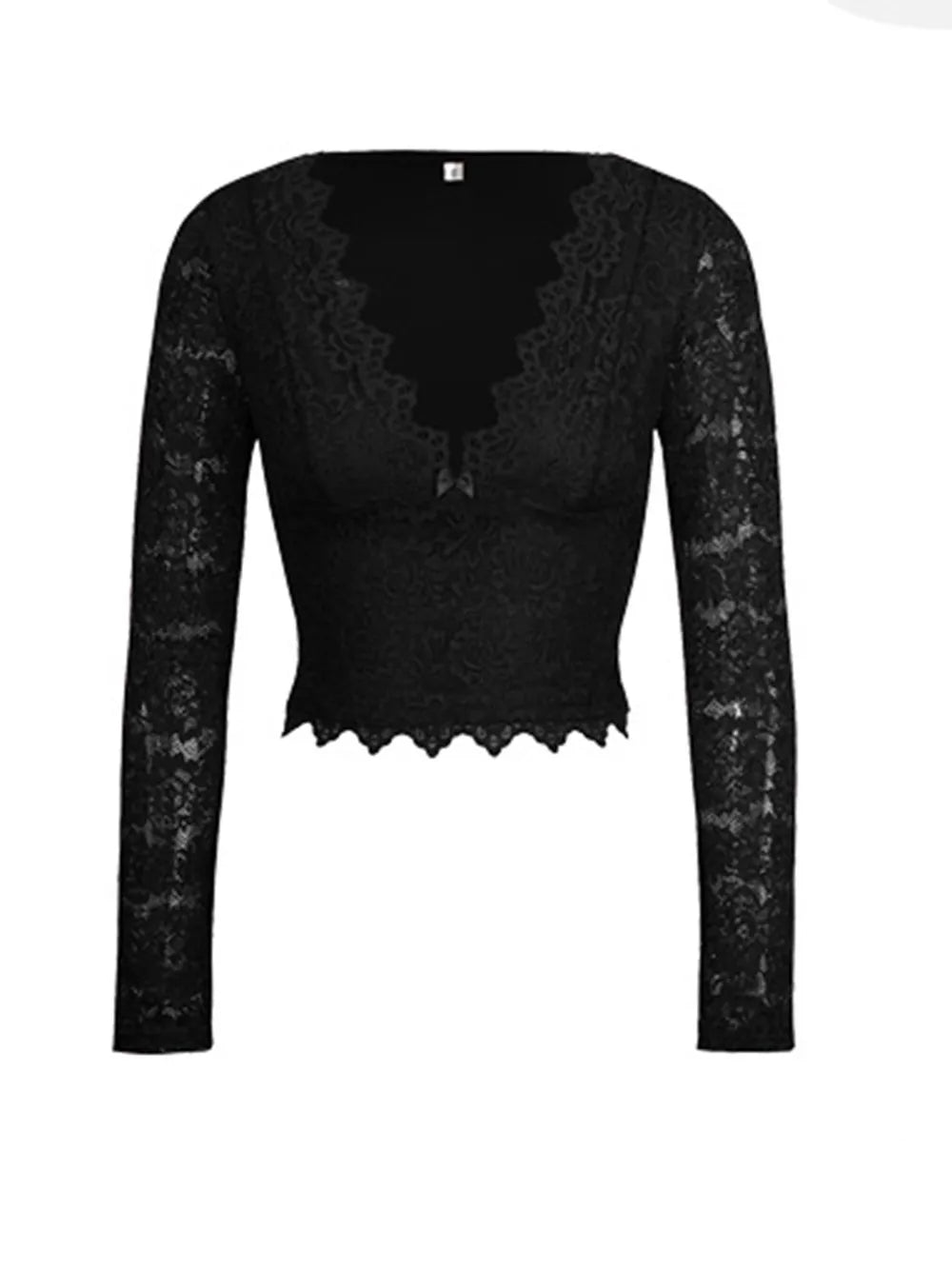 Top de encaje de manga larga con cuello de pico Devine