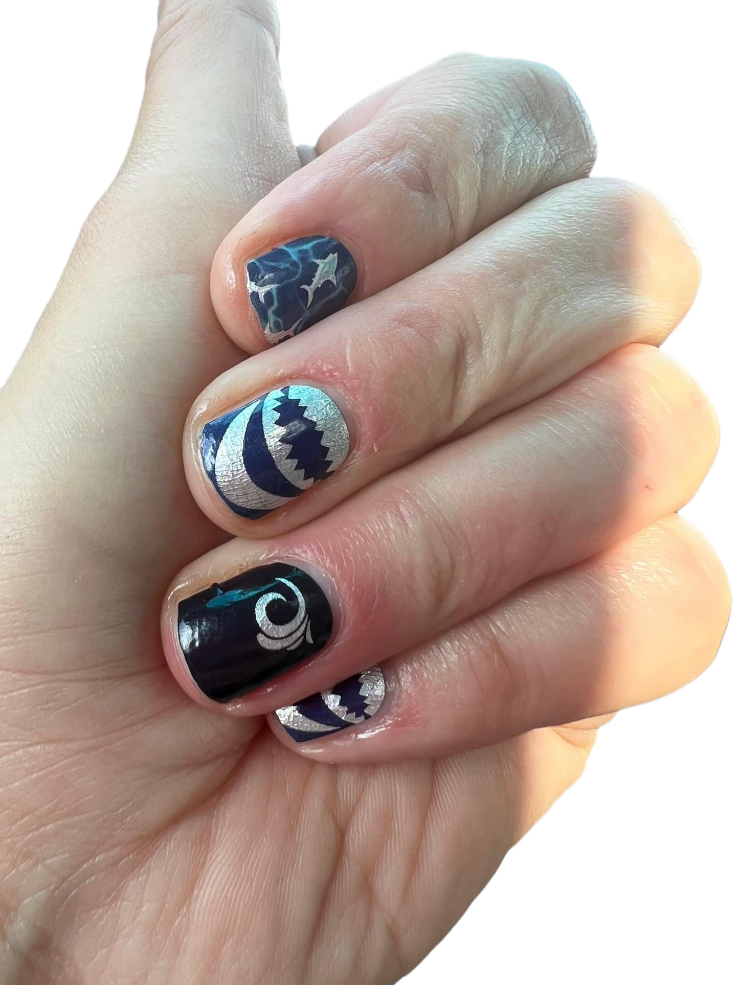 Custom - Shark Week