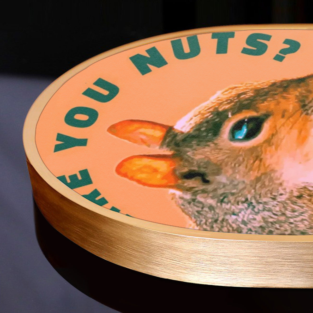 Are You Nuts? Funny Squirrel Arched Canvas Print Wall Art | Made in USA