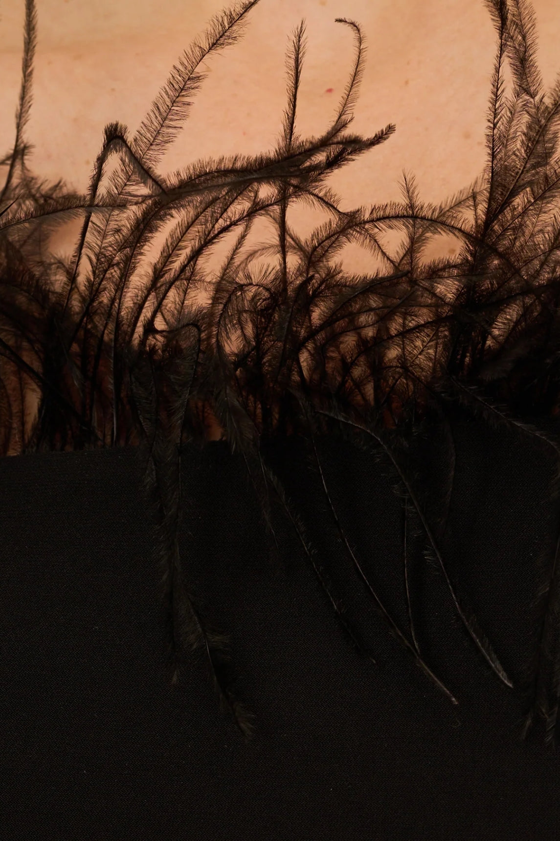 Adrianna Papell Off The Shoulder 3/4 Sleeve with Feather Accents Top