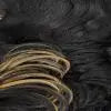 Sensationnel Glueless BareLace HD Lace Front Wig 13X6 Unit 3 – Bob, Glueless, Pre-Plucked, Heat Safe