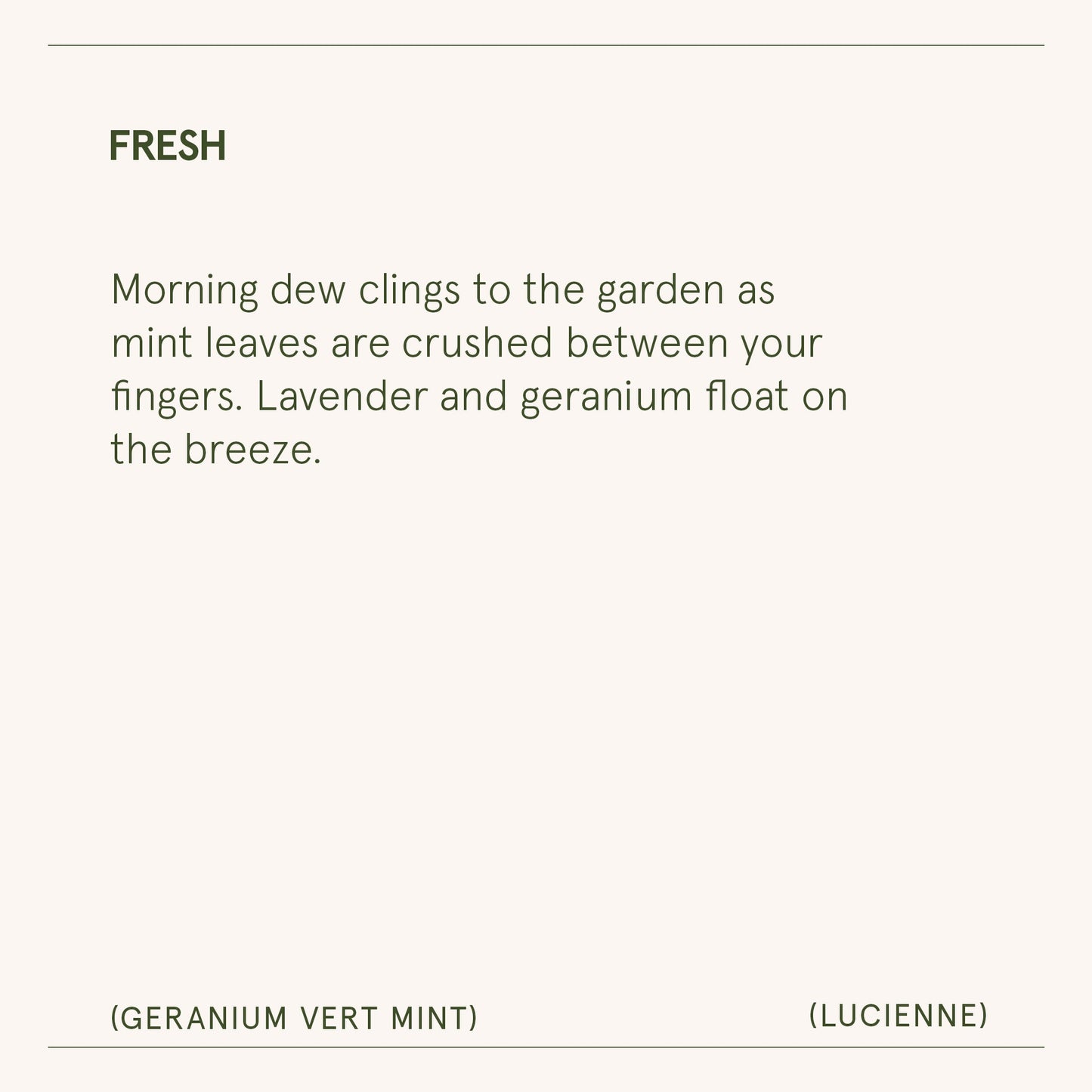 Lucienne - Geranium Vert Mint Candle