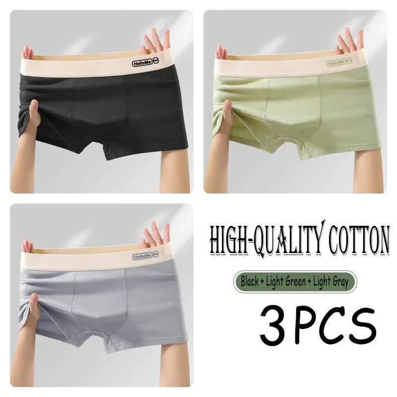 2/3PCS Cotton Men's Underwear Simple Fashion Comfortable Breathable Multi-Color Underwear Combination Sports Stretch Underwear
