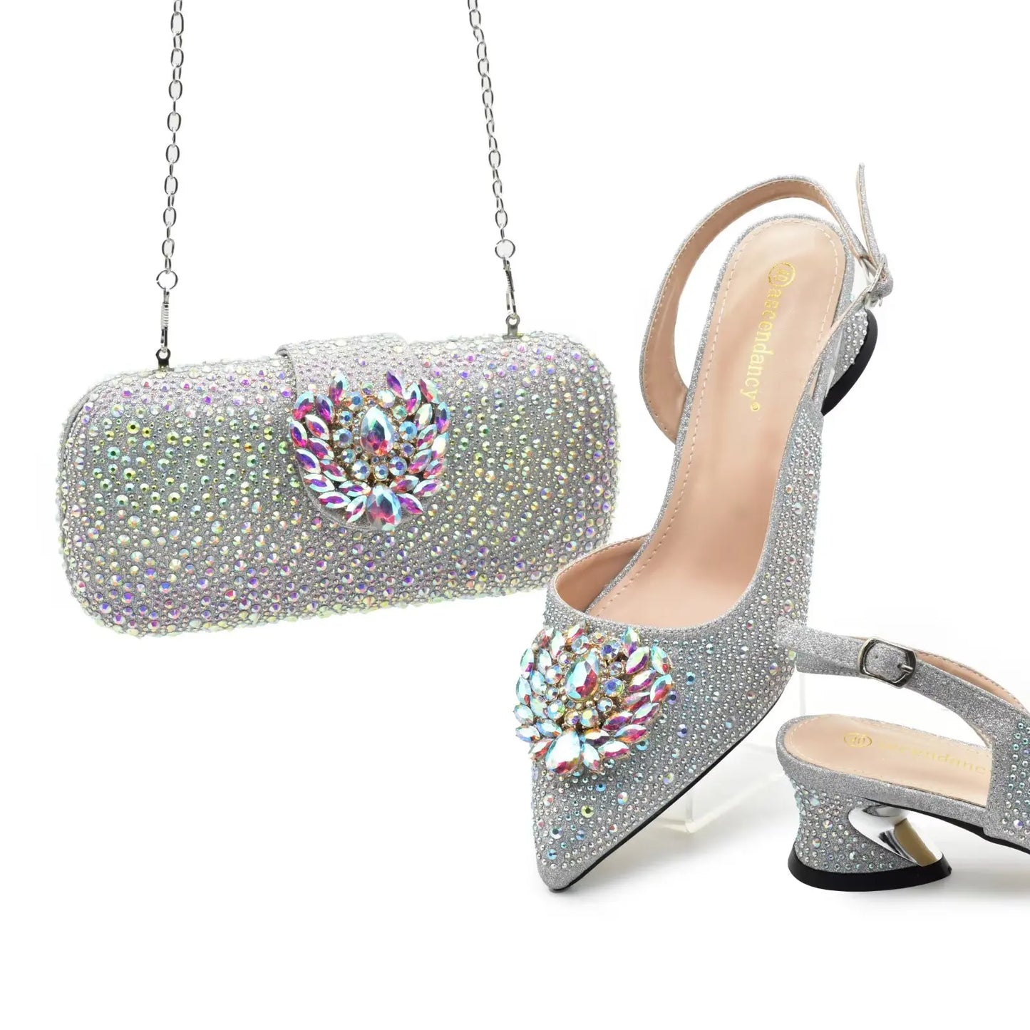 Juego de zapatos y bolso a juego para mujer HAS1-1