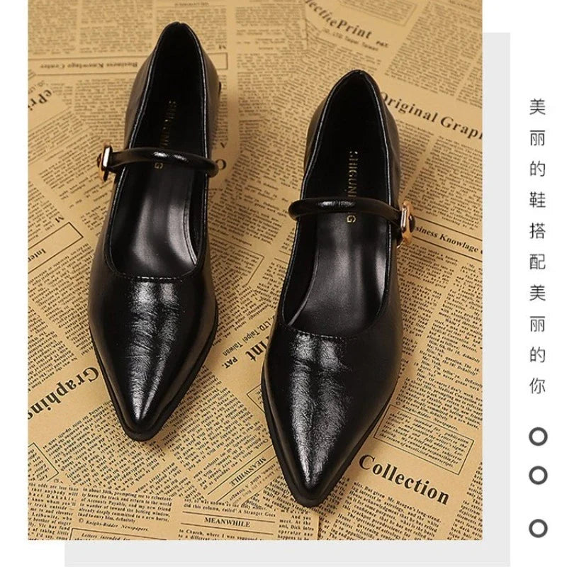 Elegant Pointed Toe Women Heels Shoes Chunky Fashion Heeled Sandals Summer 2026 Fashion Party Pumps New Dress Muejr De Sandalias