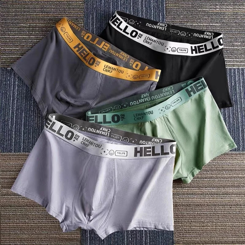Men's Mid-Waist Thin Briefs Breathable Comfortable Large Size Sports Boxer Shorts Youth Flat Briefs Underwear Polyester Fiber
