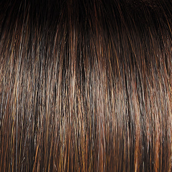 Straight to Camera Wig By Raquel Welch-Sheer Luxury-Feather Lite RL14/22SS