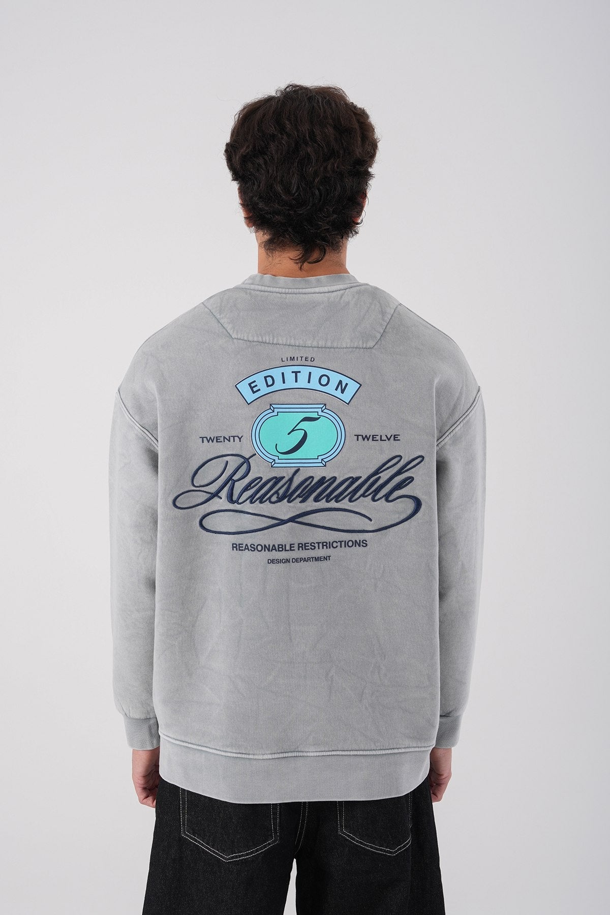 Sudadera unisex lavada con gráfico – Estampado trasero "Reasonable"
