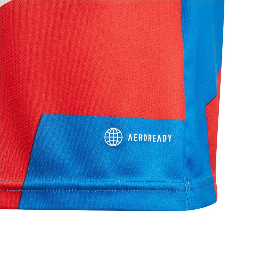 adidas Youth FC Bayern Preshi Jersey - Red / Bright Royal