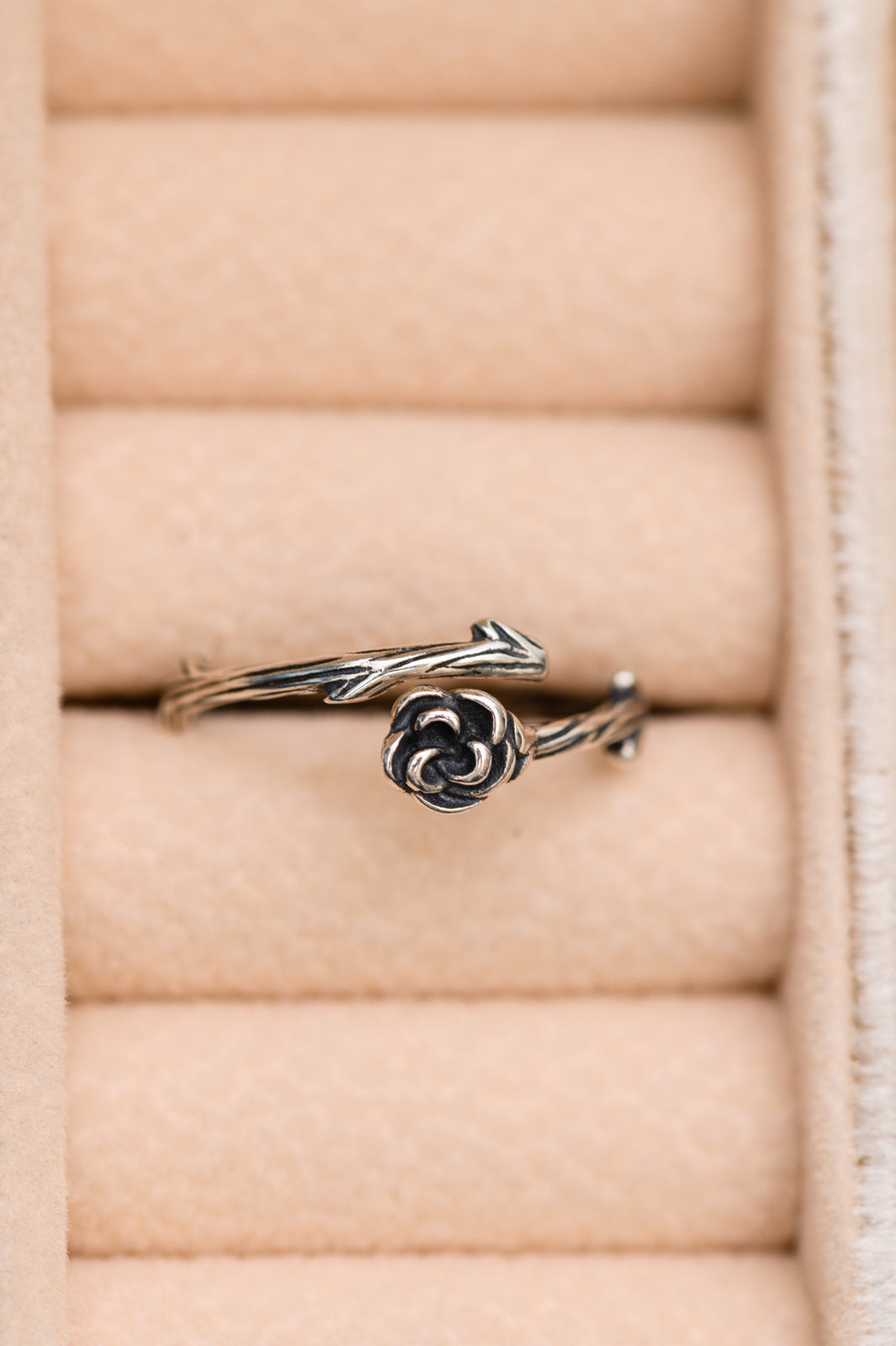 Envuelto en un anillo de rosas