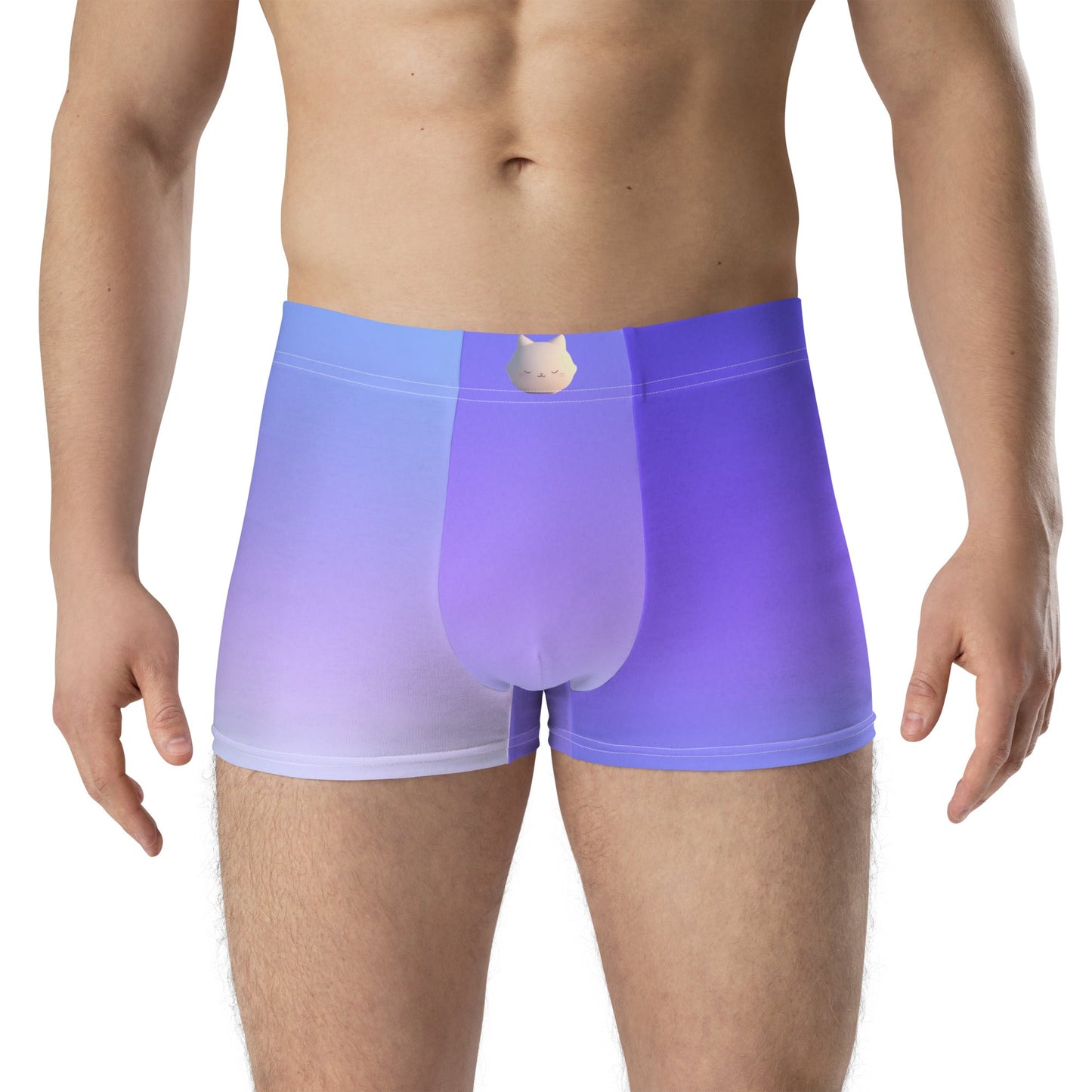 CalmCaressASMR Boxer Briefs