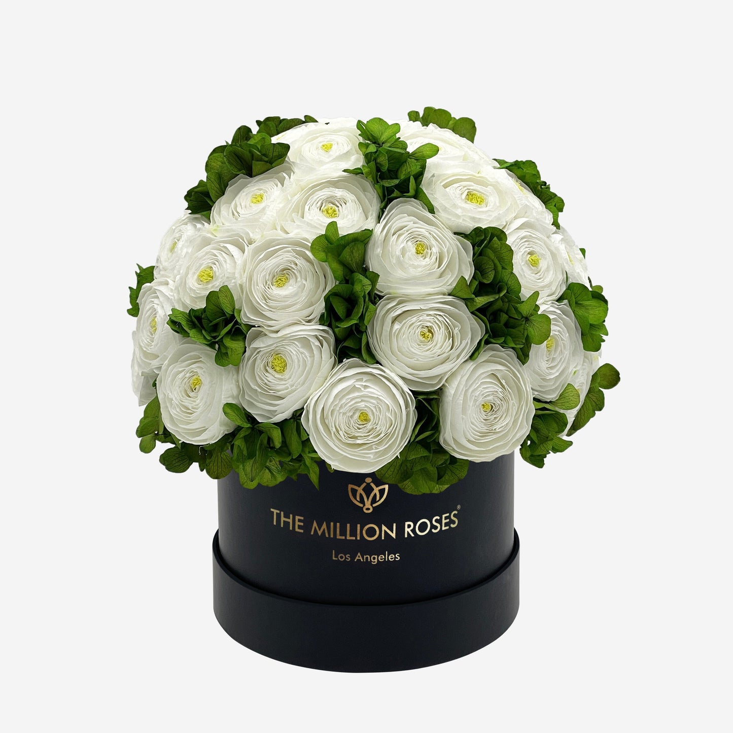 Caja Negra Clásica | Ranúnculos Persas Blancos y Hortensias Verdes