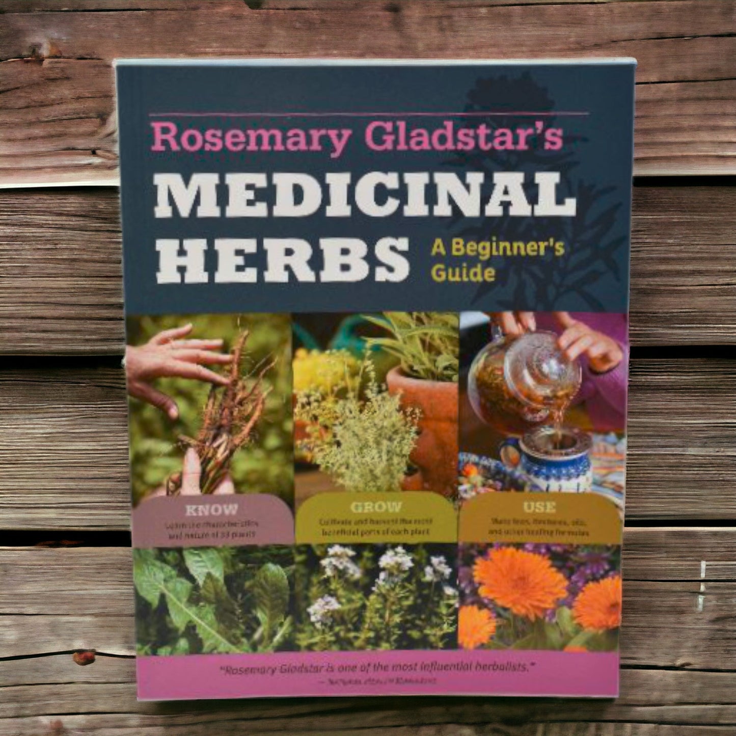 Guía para principiantes: Hierbas medicinales por Rosemary Gladstar
