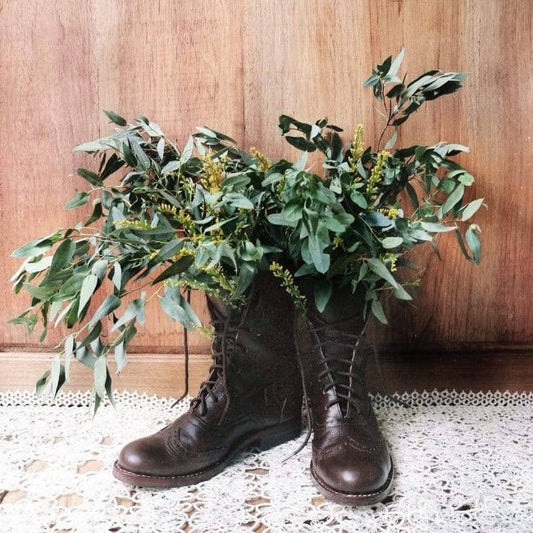 Brown Leather Victorian Ankle Boots