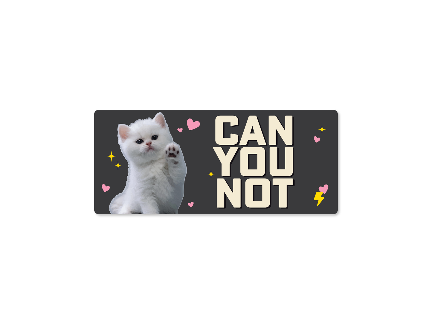 CAN YOU NOT Cat Funny Bumper Sticker or Magnet 7x3"