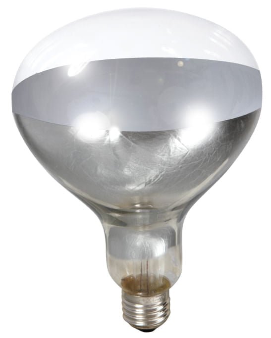 Lámpara de calor de pinza para criadora de pollitos y aves de corral - Compatible con bombillas de calor rojas y transparentes de 250 W