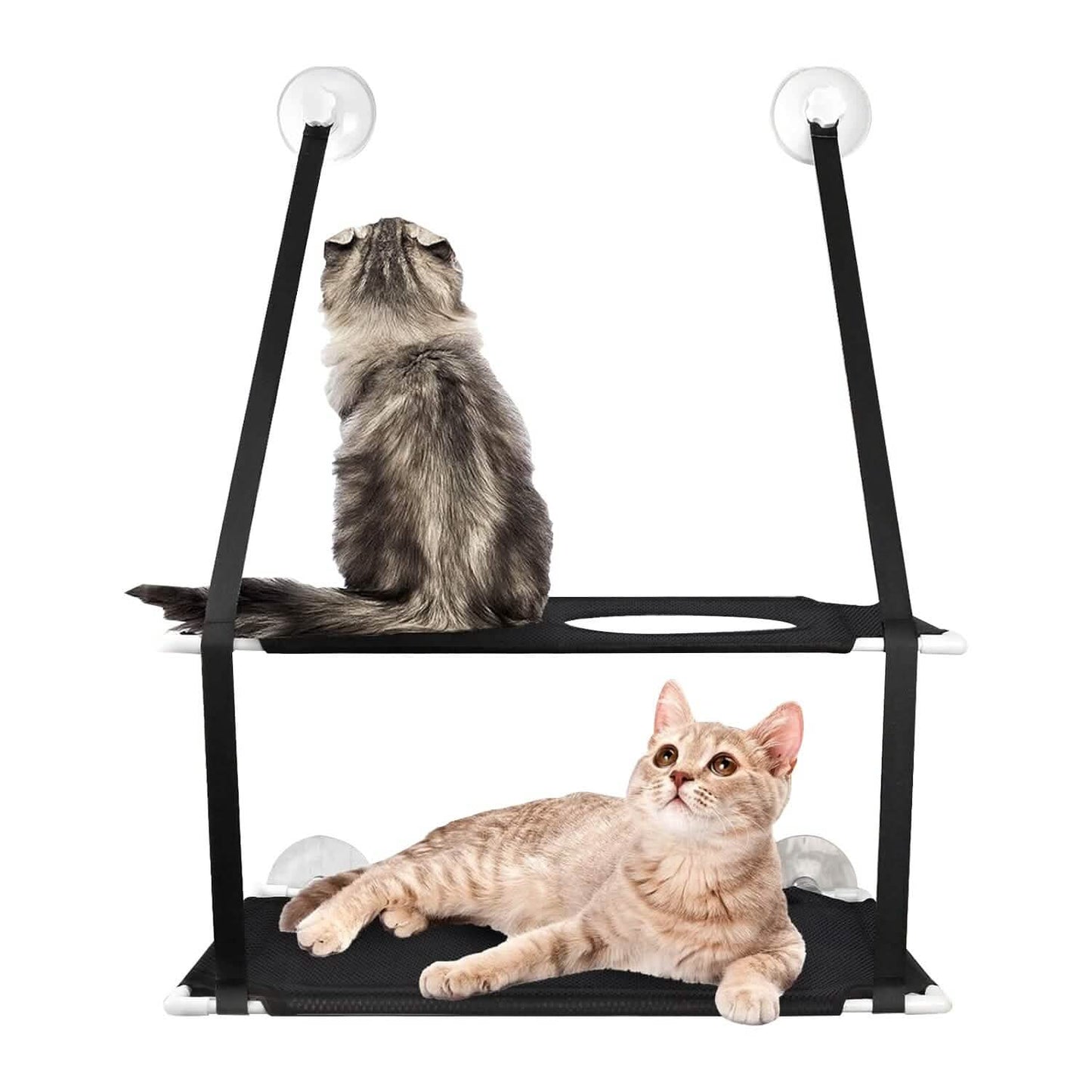 Double Layer Perch Bed Powerful Suction Indoor Window Hammock for Cat