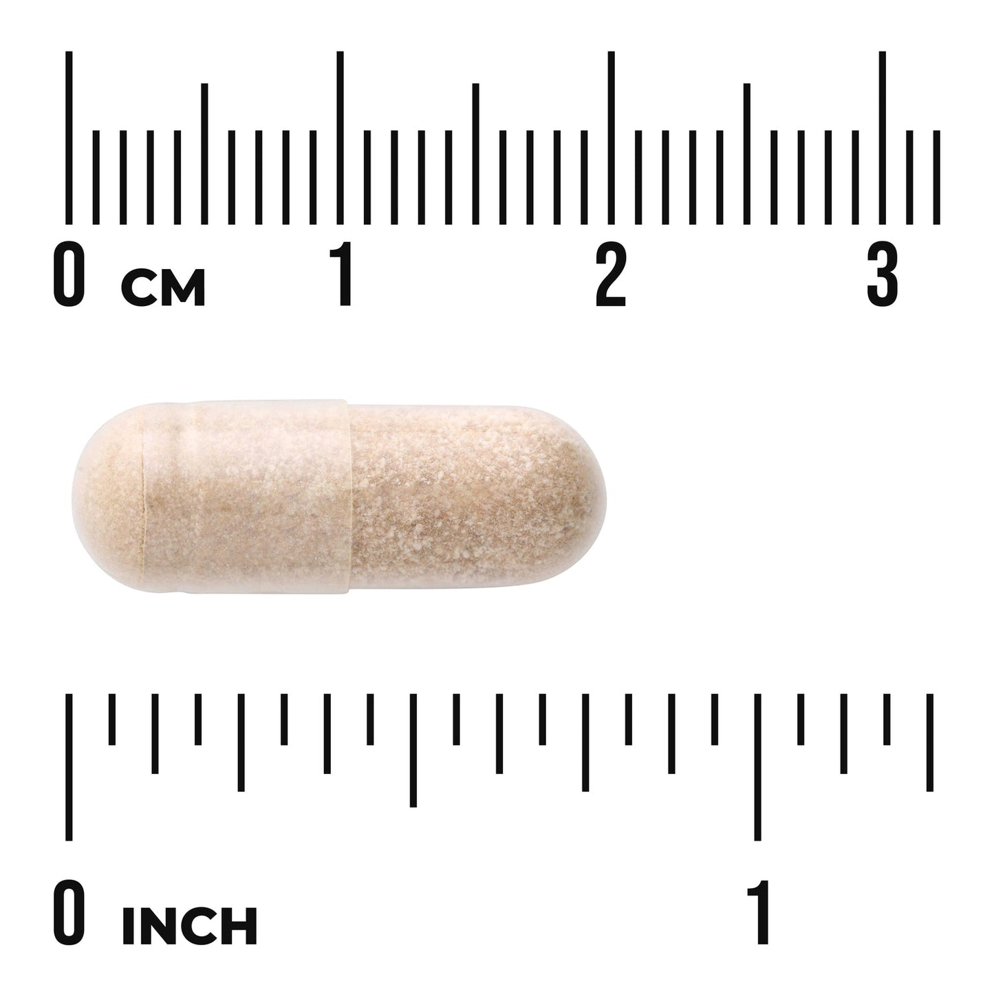 Prostate Glandular - Men's Health