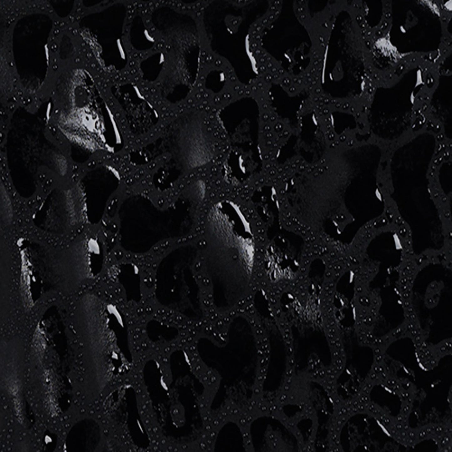 Apex Black | Boys Swim Short