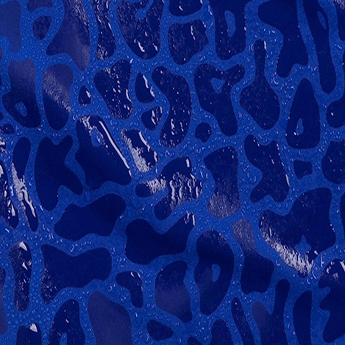 Apex Blue | Boys Swim Short