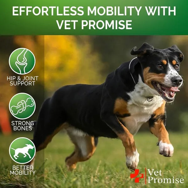 Glucosamina Para Perros Paquete de 2 Suplementos Para Caderas y Articulaciones con Condroitina 240 Masticables