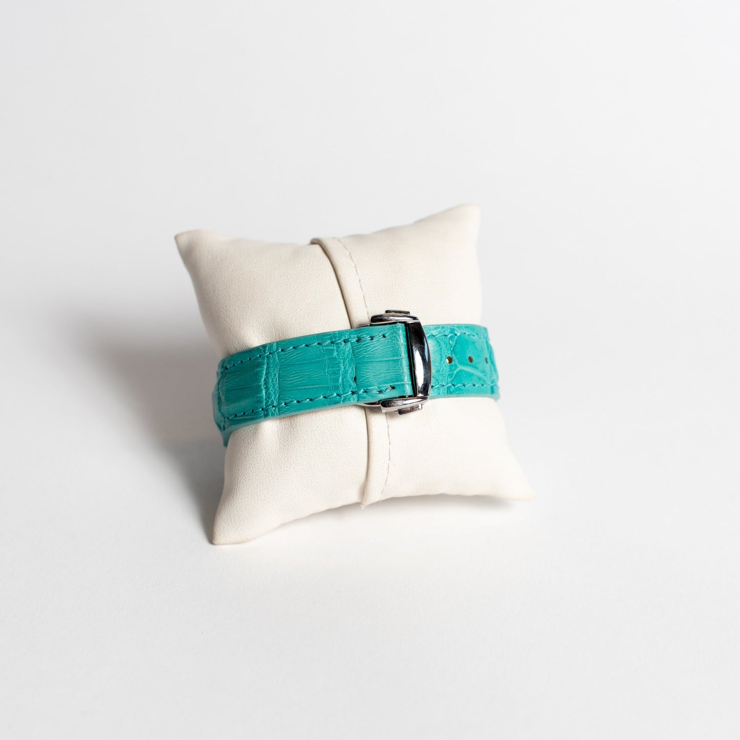 Apple Watch Band, Aqua