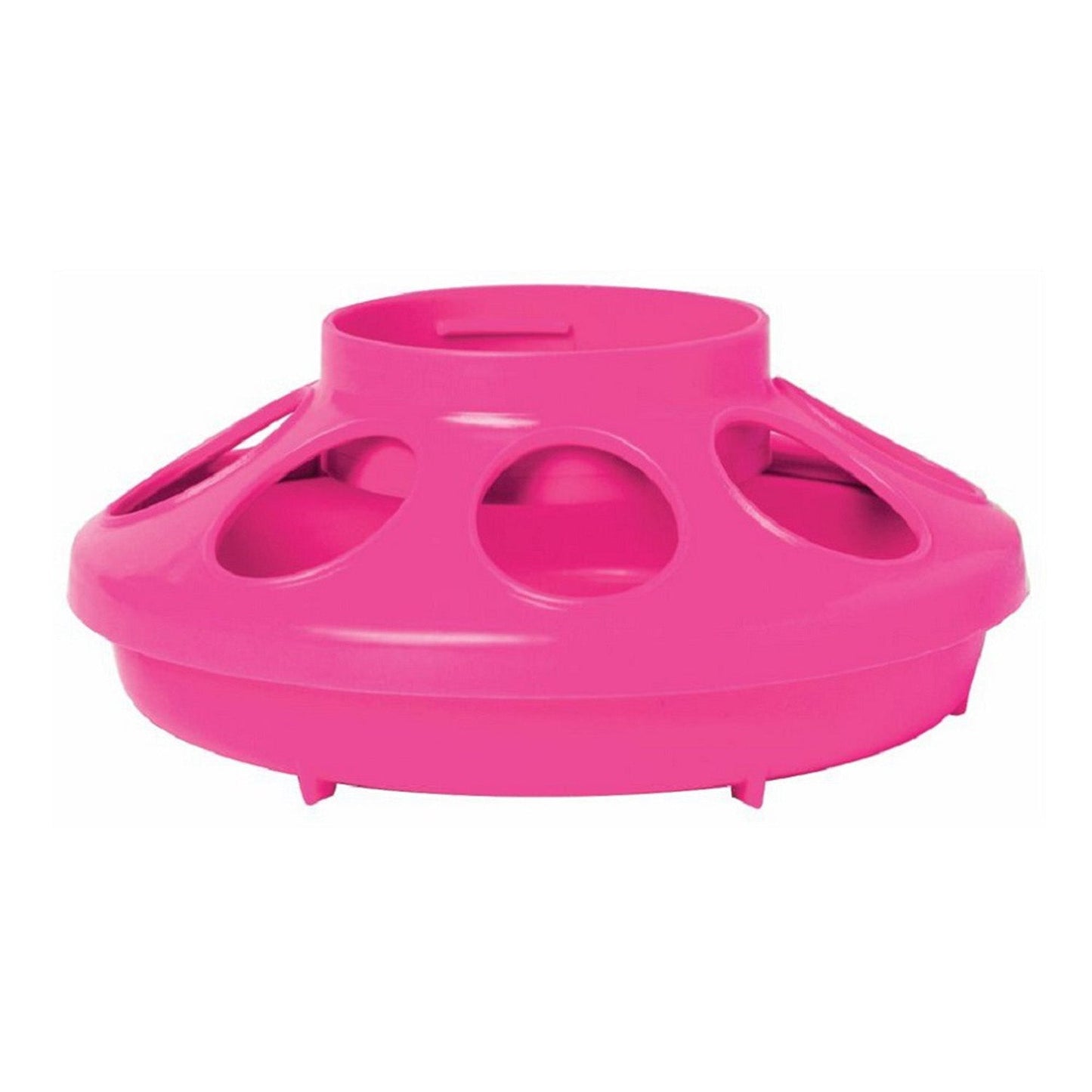Little Giant Comedero y bebedero para pollos de 1 cuarto de galón – Tarro y base de plástico enroscables (se venden por separado)