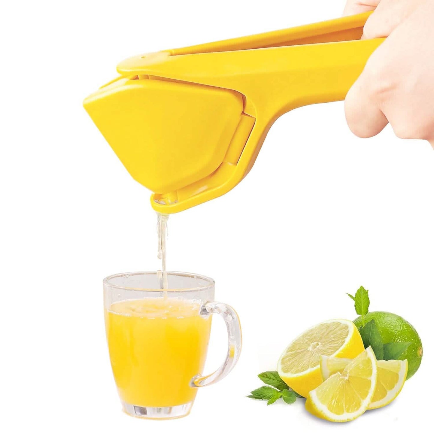 Manual Lemon Squeezer Fold Flat Design