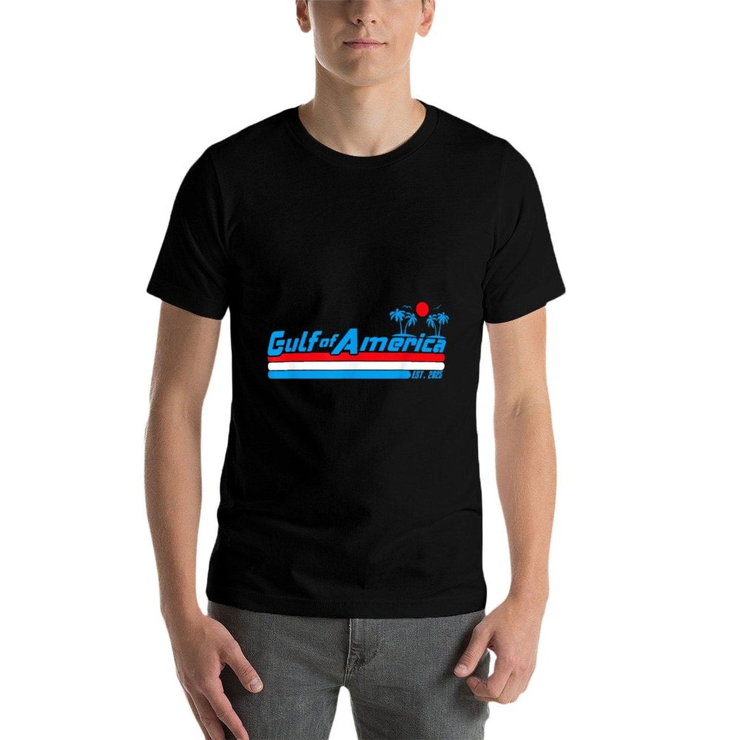 Retro Gulf Of USA America Est 2025 American Gulf Mexico Eco-friendly Material T-Shirt