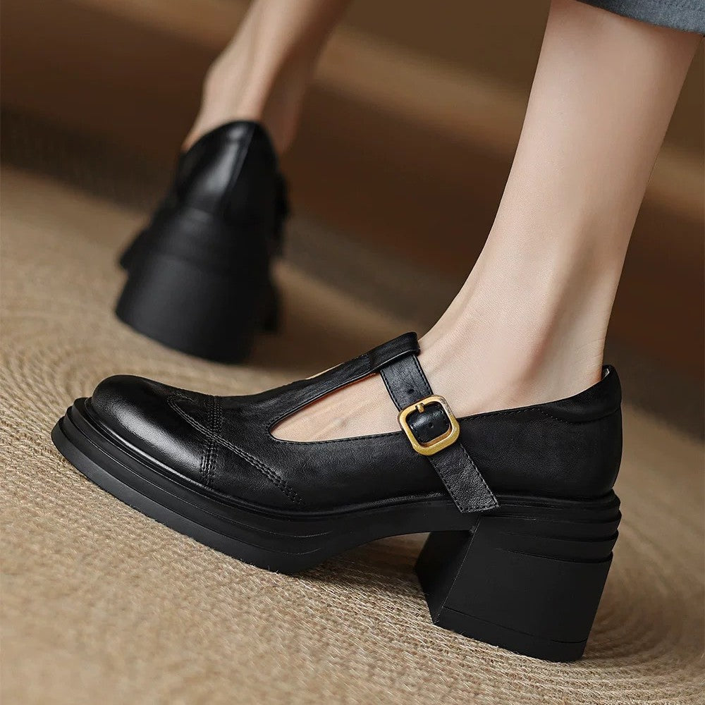 Women's Chunky Heel Platform Mary Jane Shoes