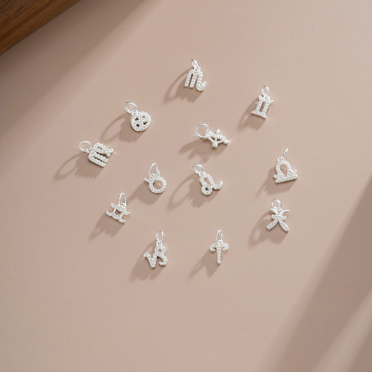S925 Silver 12 Zodiac Sign Pendant