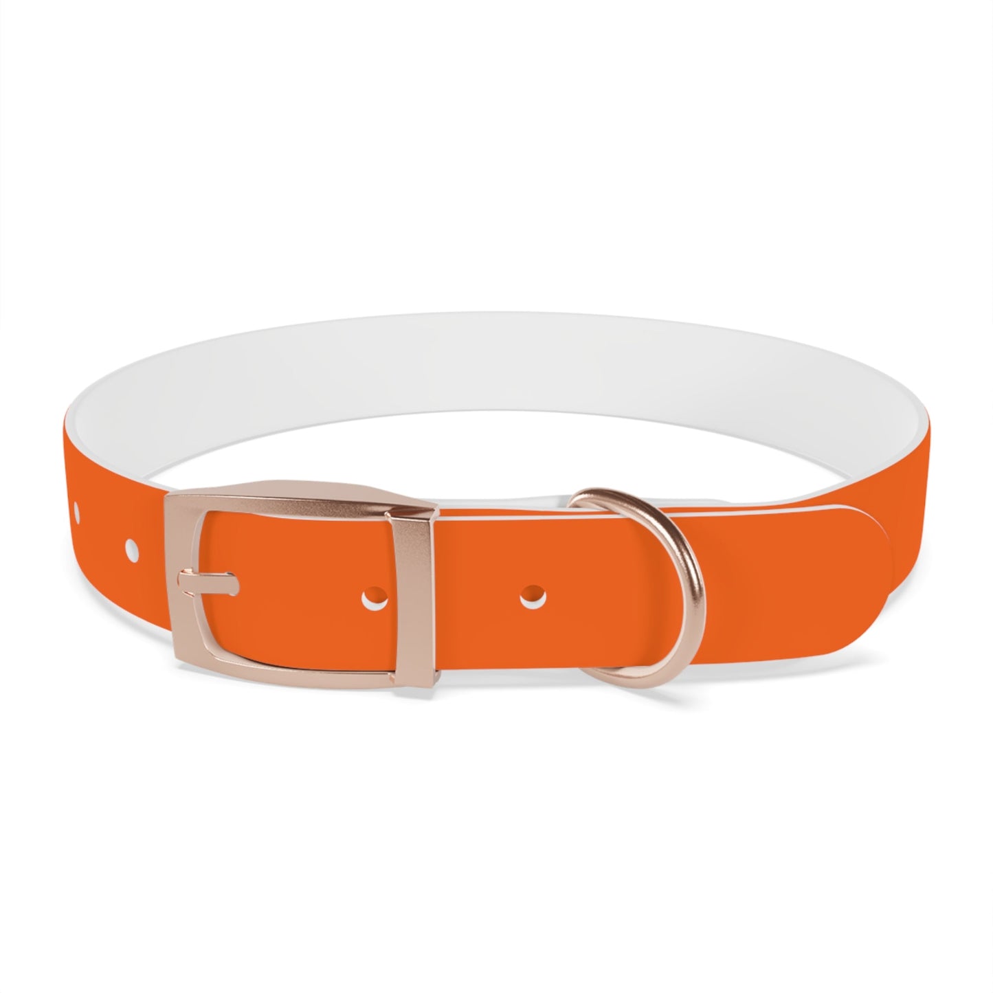 Dutch Dog Collar, I identify as a lion - Fun Pet Accessory, Dog Wear, Unique Gift for Dog Lovers, Pets Birthday Celebration, Lion Theme Collar