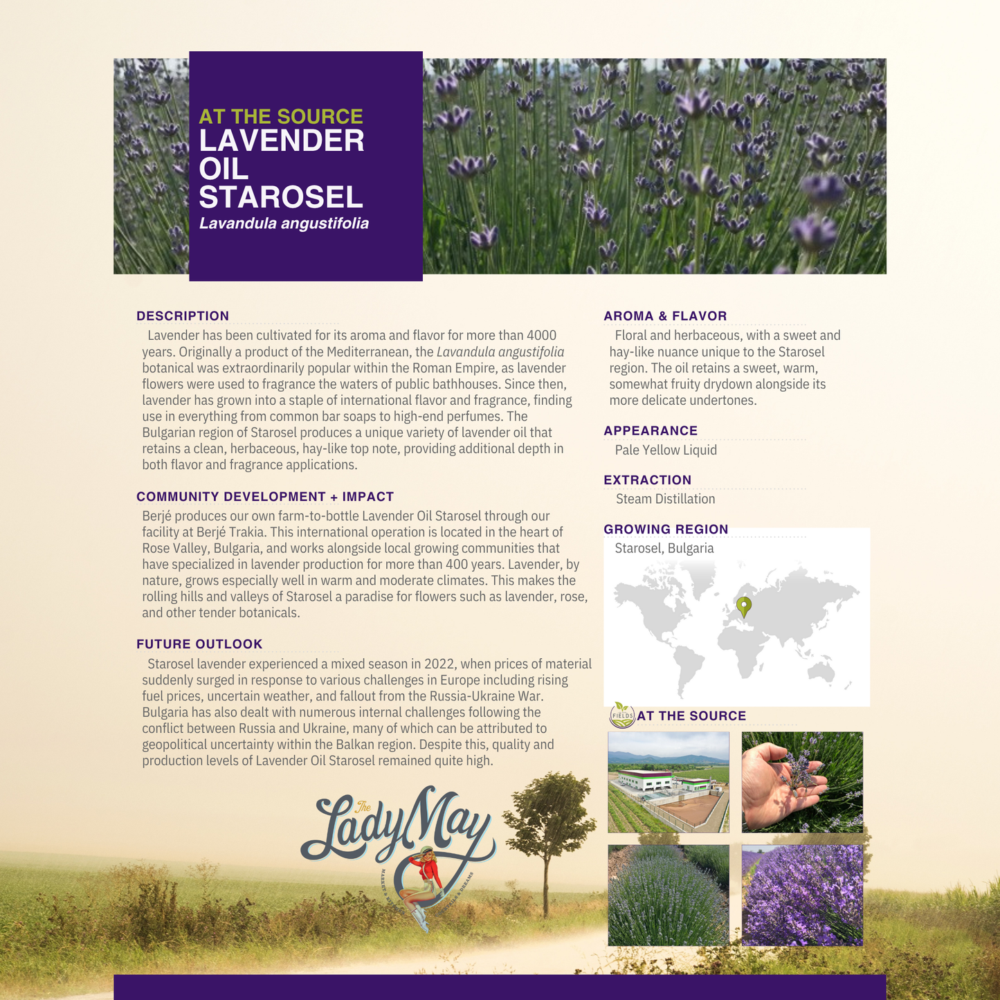 Juego de regalo de sebo de lavanda - Paquete de relajación premium | Cuidado de la piel, vela y jabón