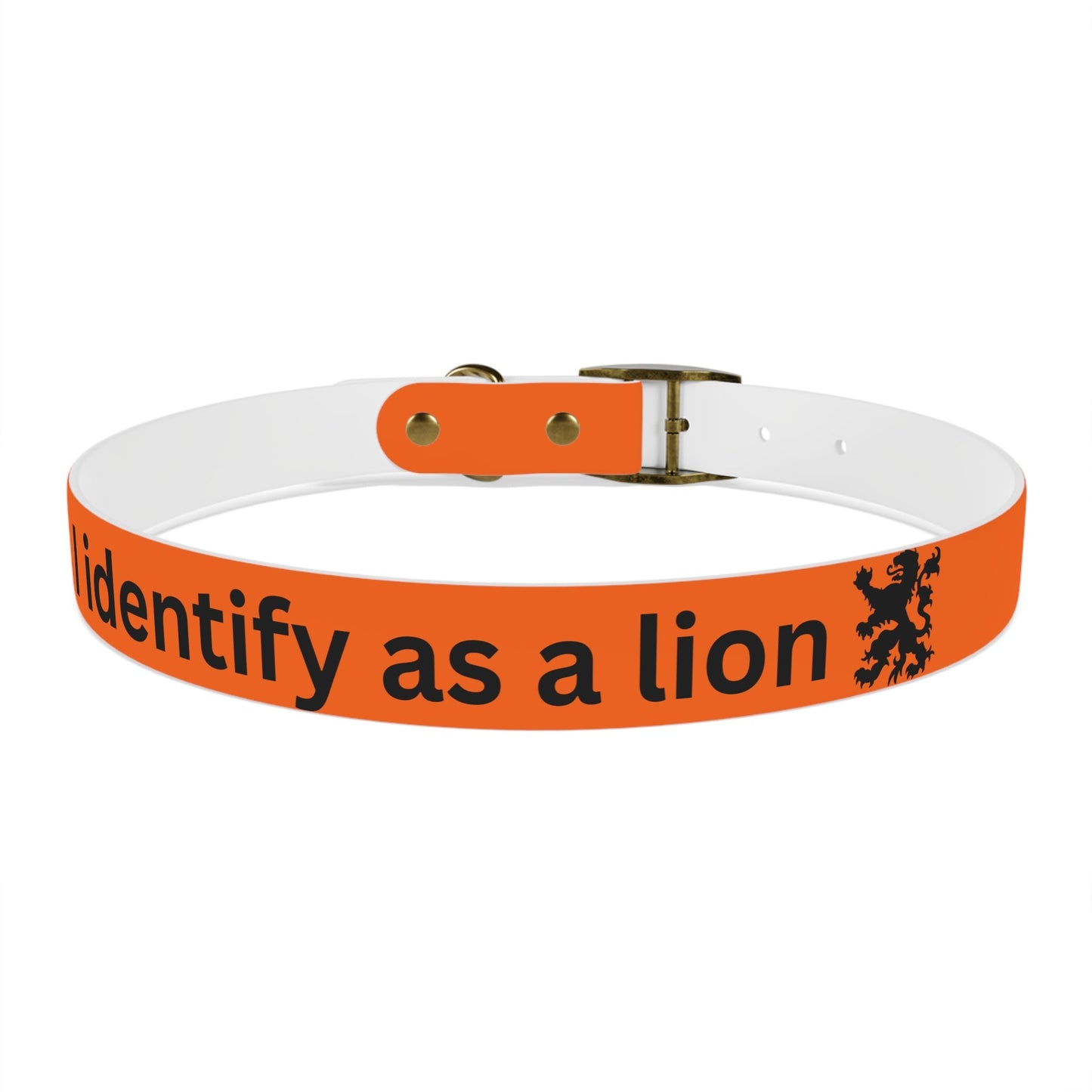 Dutch Dog Collar, I identify as a lion - Fun Pet Accessory, Dog Wear, Unique Gift for Dog Lovers, Pets Birthday Celebration, Lion Theme Collar