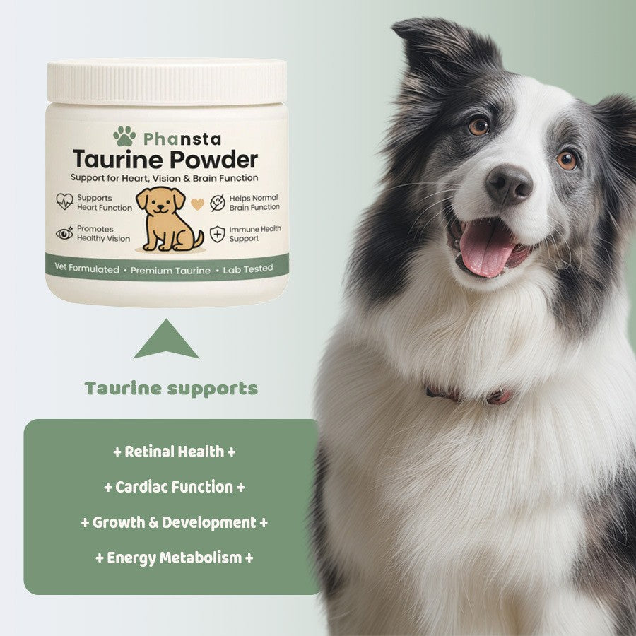 PHANSTA Taurine Powder For DogsGentle Care For Your Dogs Comfort