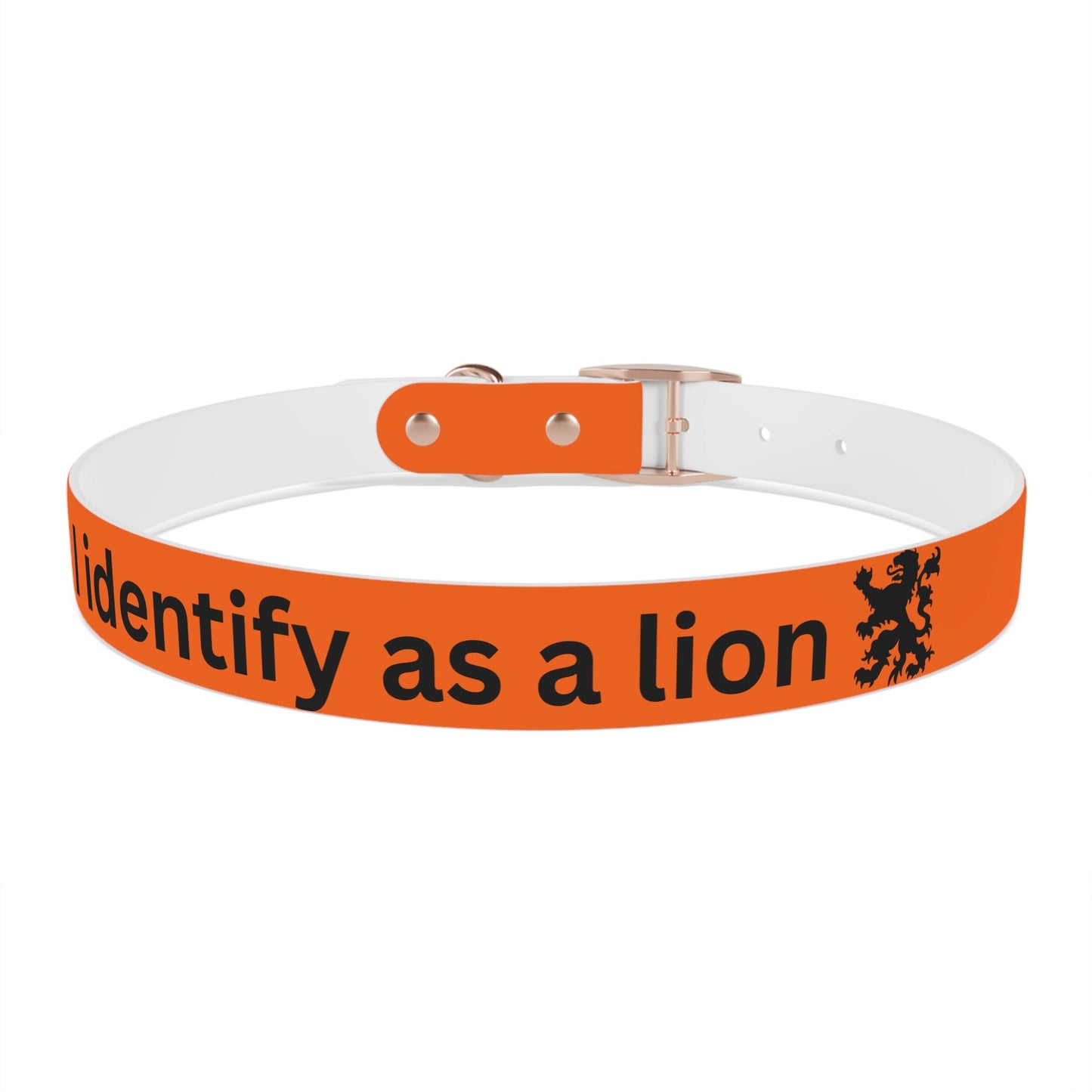 Dutch Dog Collar, I identify as a lion - Fun Pet Accessory, Dog Wear, Unique Gift for Dog Lovers, Pets Birthday Celebration, Lion Theme Collar