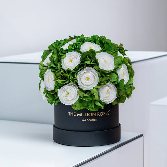 Caja Negra Clásica | Ranúnculos Persas Blancos y Hortensias Verdes