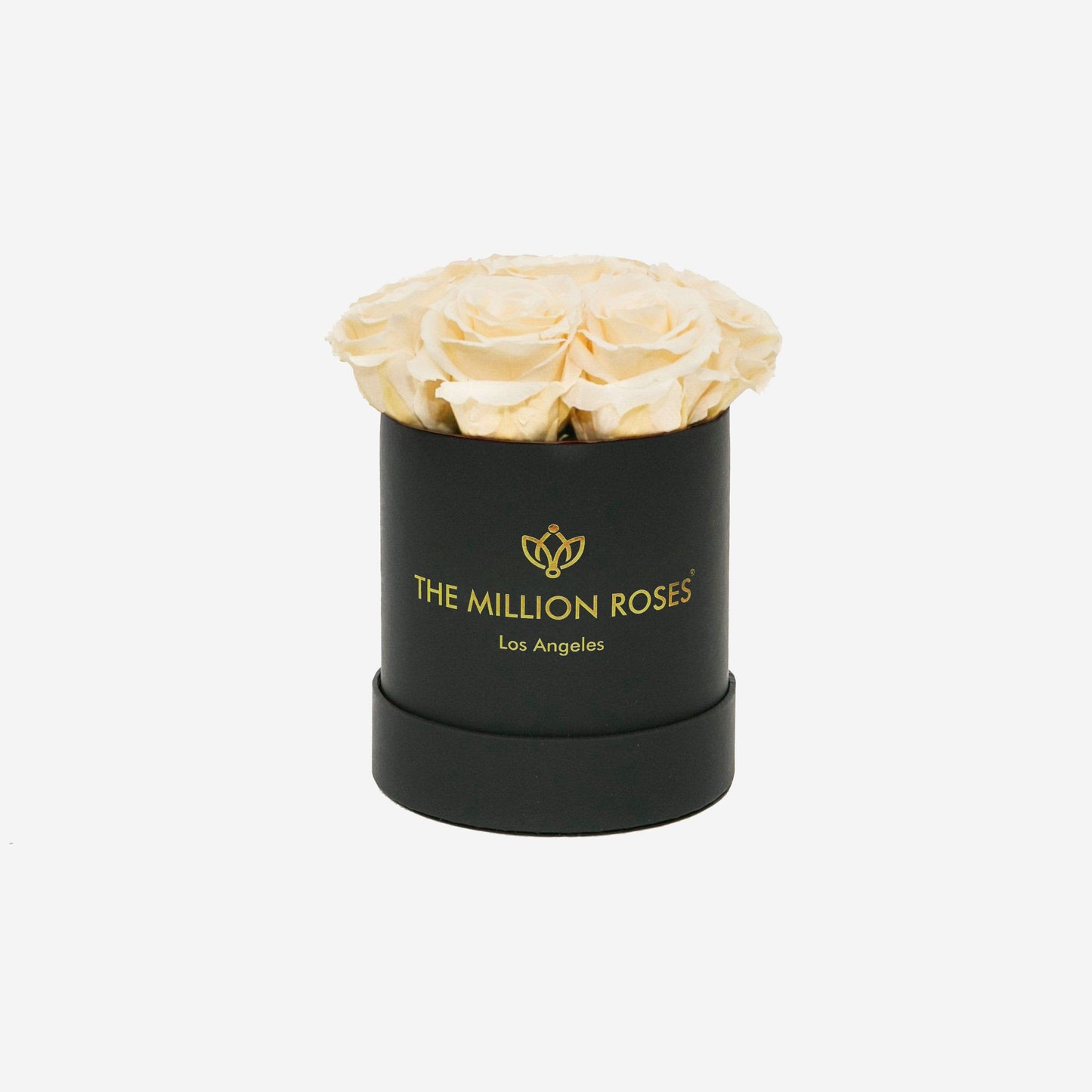Basic Black Box | Ivory Roses