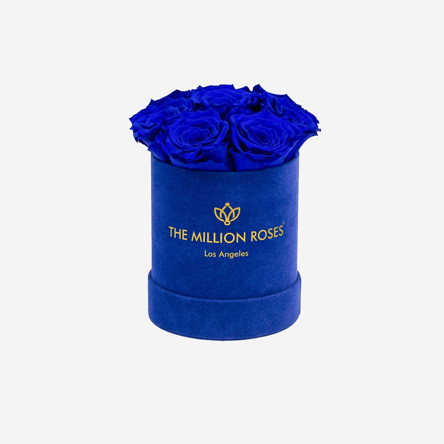 Caja Básica de Gamuza Azul Real | Rosas Azul Real